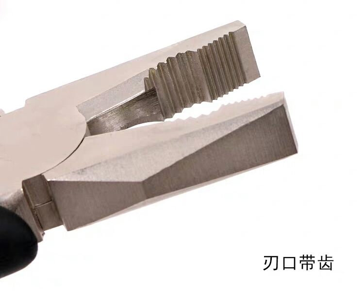 vise/long nose pliers