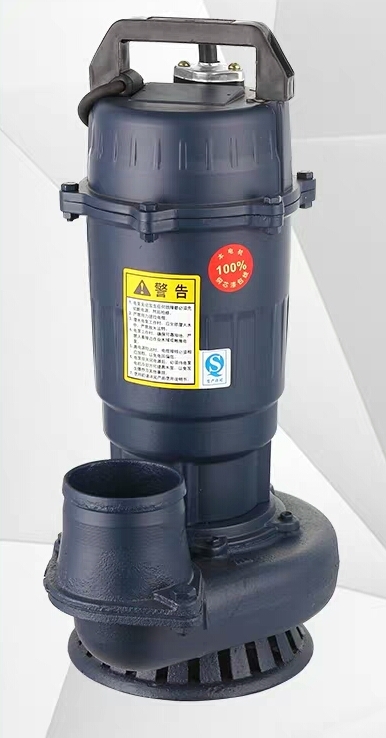 Immersible pump